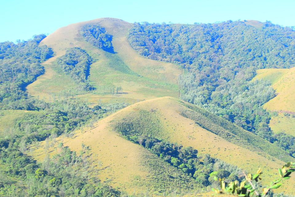 Green hills at Mullayanagiri, Chikmagalur